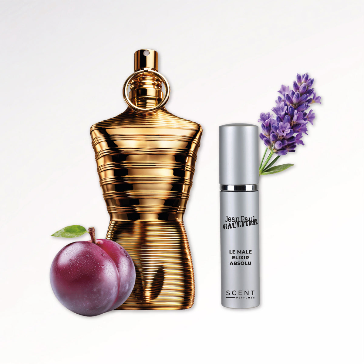 Le Male Elixir Absolu